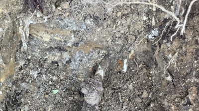 Leak Wranglers Plumbing & HVAC Photo